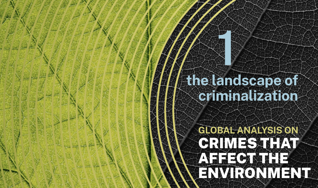UNODC REPORT