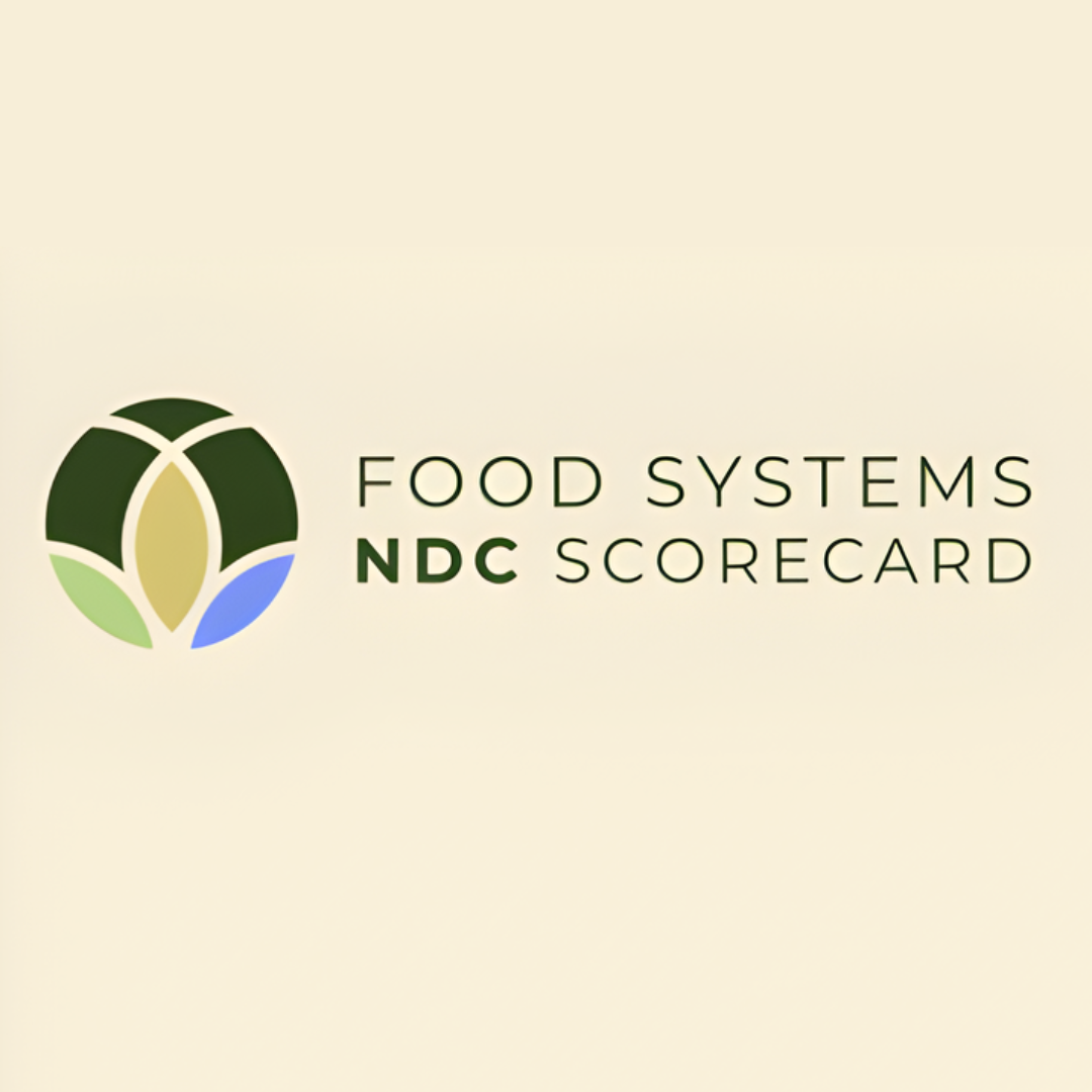 NDC Scorecard