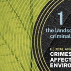 UNODC REPORT