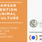 Ramsar Report