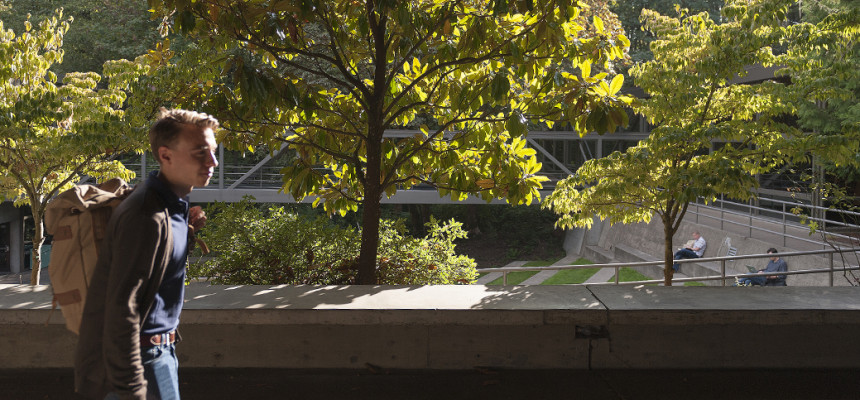 Walking along the McCarty Breezeway. McCarty Classroom Complex houses the four largest lecture halls where most 1L classes meet. A portio...