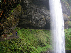 Silver Falls Trail Race