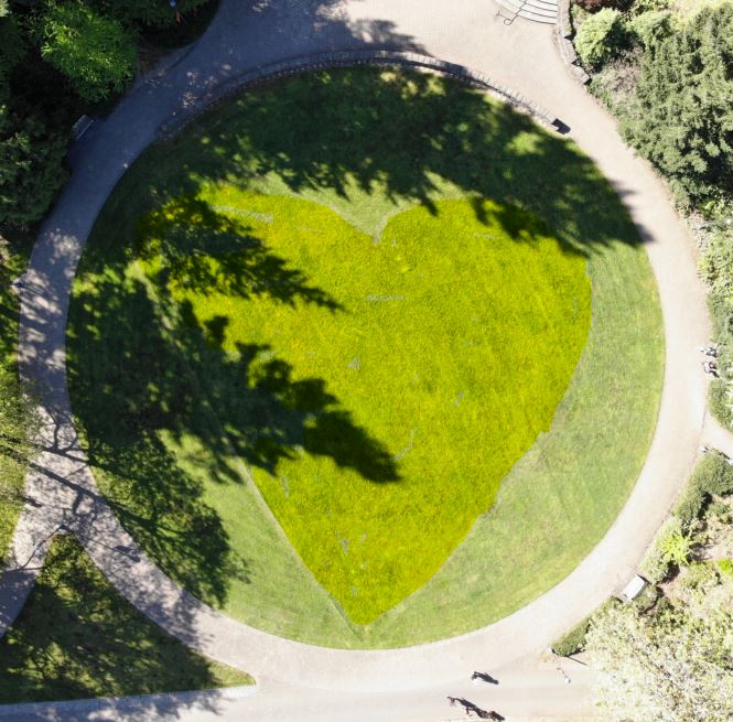 This grassy circle known as The Glade is located in the heart of the academic portion of the Undergraduate Campus. Groundskeeper Amanda W...