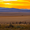 Montana Law Alumni Chapter