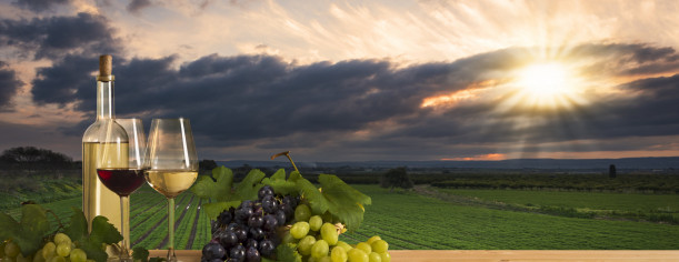 wine at sunset