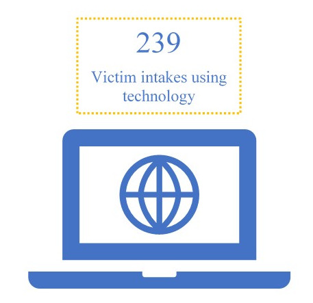 Victim intakes using technology Rural Project June 2020