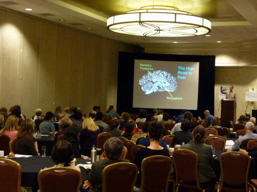 David Lisak provided a plenary session on the neurobiology of trauma. - Photo by Susan Bexton