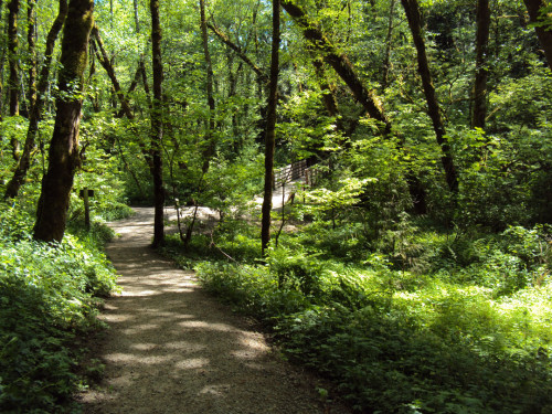 Tryon Creek State Park