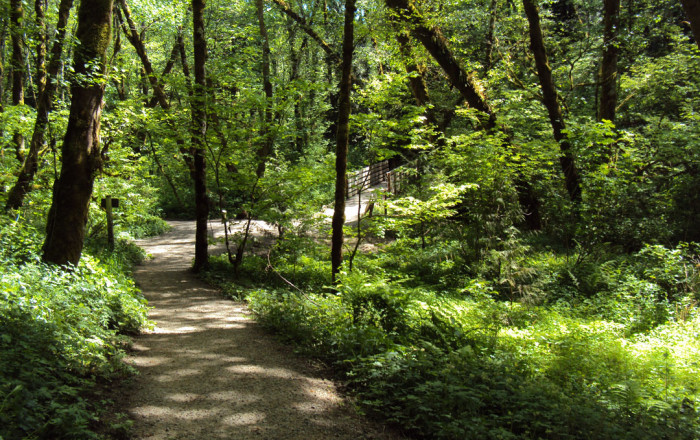 A trail in the park. Tryon Creek State Park offers 8 miles of hiking trails, 3.5 miles of horse trail and a 3-mile paved bicycle trail. H...