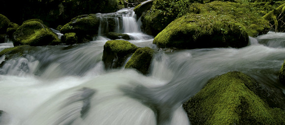 At 289 feet high, this is one of the tallest waterfalls in the Columbia River Gorge. E 35 miles