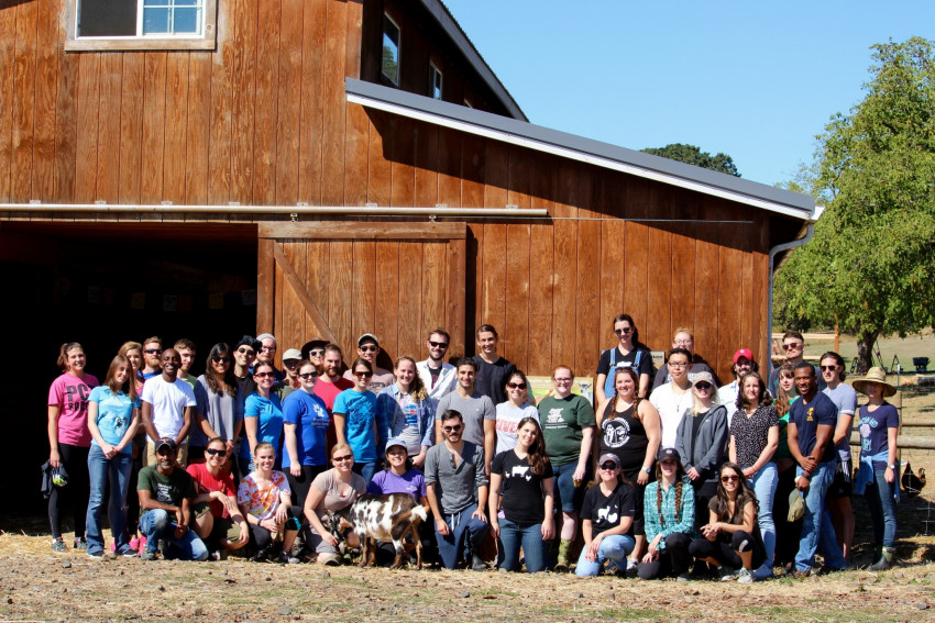 SALDF work retreat at Wildwood Farm Sanctuary