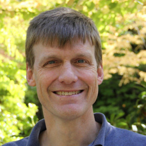 Chris Wold