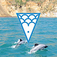 Dolphins swimming in ocean plus Earthrise endangered species icon