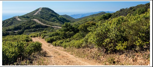 The ridgeline where the fragile chaparral habitat was scheduled to be clear cut, 150 feet on either side of the trail (the length of a fo...