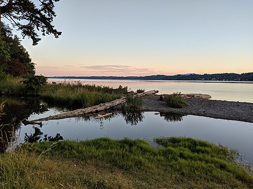 View of Budd Inlet from Burfoot Park